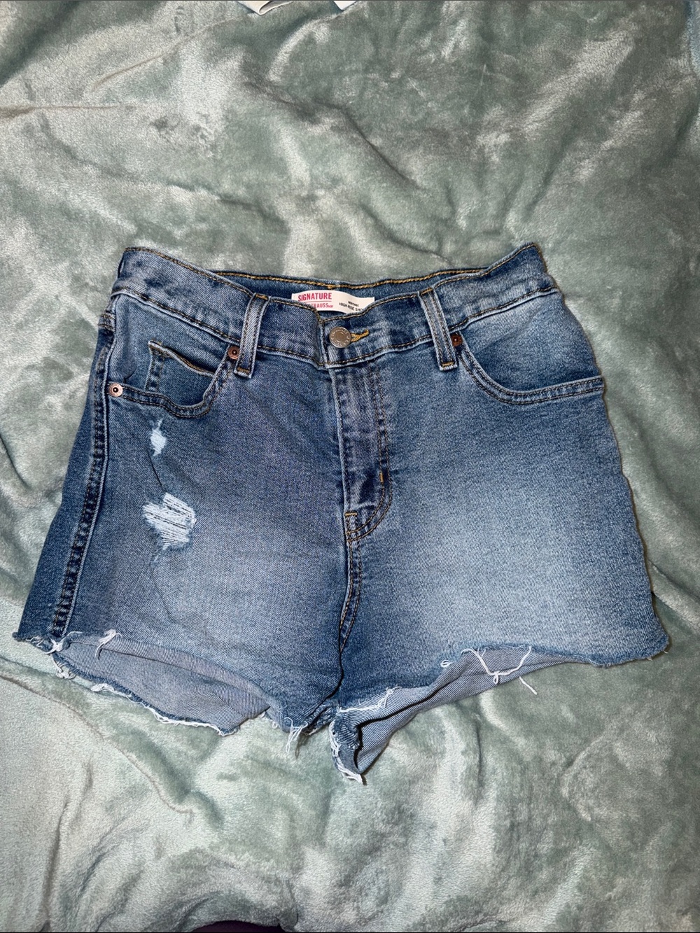 Signature Vintage Blue Distressed Denim Shorts